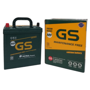 GS Maintenance Free